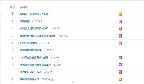 小龙被爆料视频在线观看,揭秘背后真相，网络热议不断