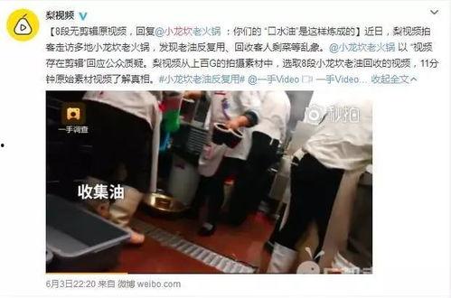 小龙被爆料视频在线观看,揭秘背后真相，网络热议不断