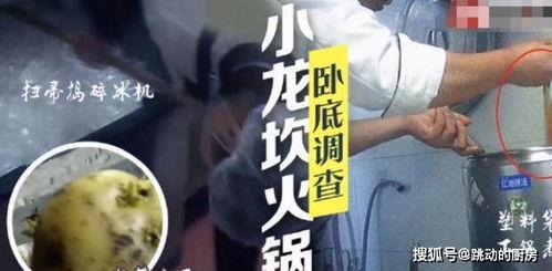 小龙被爆料视频在线观看,揭秘背后真相，网络热议不断