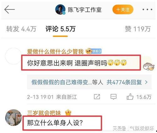陈飞宇大哥爆料视频大全,揭秘娱乐圈幕后故事