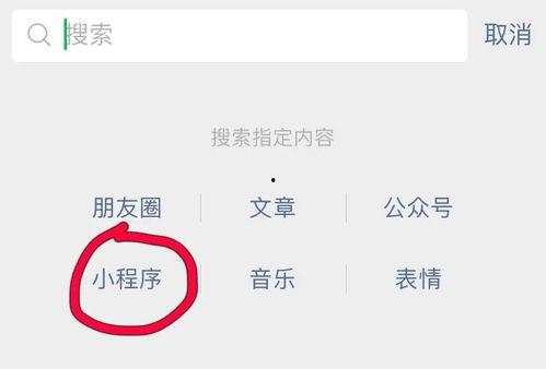 小程序最新爆料,功能升级、玩法革新，带你领略科技魅力