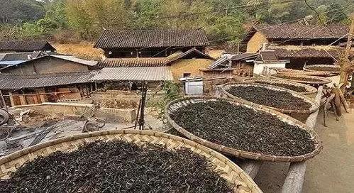 郑州保合寨最新爆料信息,揭秘神秘事件背后的真相