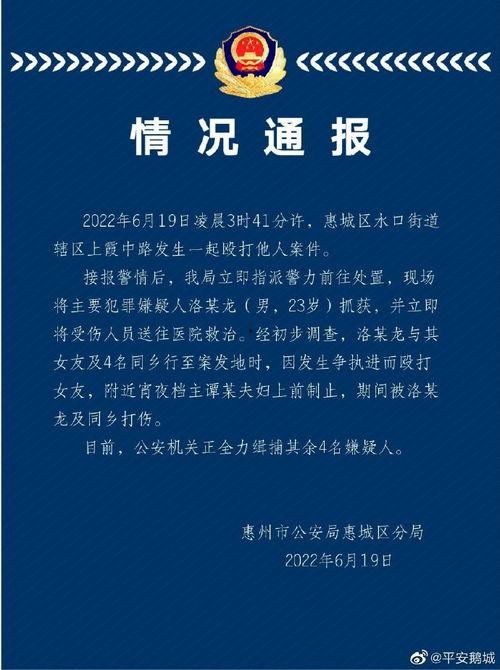 惠州最新消息爆料案件,惊曝重大案件细节披露