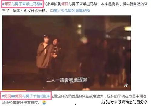 何炅绯闻爆料视频最新,真相与谣言的交织
