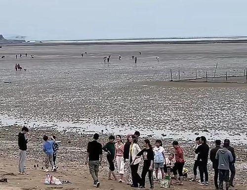 赶海直播间爆料视频大全,海量精彩视频大盘点