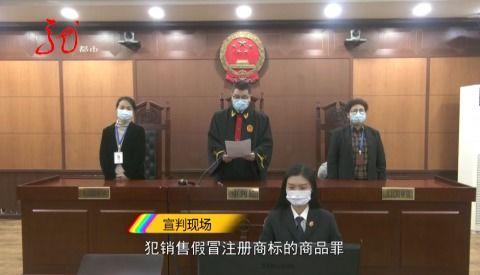 新闻夜航怎么爆料,揭秘爆料流程，助力真相发声