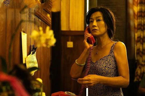 游哥爆料前妻的故事视频,一段尘封往事的真相披露