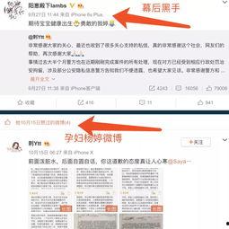 爆料网红的网站视频,爆料内容深度解析