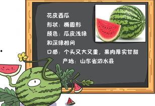地府吃瓜小说免费阅读,揭秘阴间奇闻异事